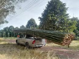 overloaded Thai vehicle picture thread ...