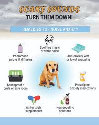 Smoke detector utilizes an ionization sensor to detect fire hazards and sounds an 85 db alarm when a hazard is detected. Sounds That Scare Dogs And What To Do About Them