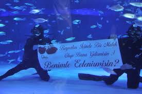 Evlilik Teklifi Antalya Akvaryum Antalya Aquarium Tunel Akvaryum