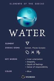 The zodiac signs act like filters of planetary energies. Elements Of The Zodiac Wishbonix Zodiac Signs Elements Pisces Zodiac Elements