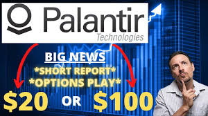 What's in the offing for palantir (pltr) in q4 earnings? Pltr Stock Crash Coming Huge Palantir Stock Options Play Stocks To Buy Stock Options Buy Stocks Stocks To Watch