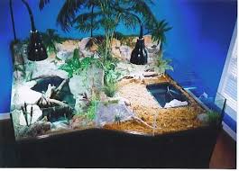 Pin By Kfs On Pets Turtle Tank Turtle Terrarium Turtle Habitat