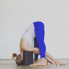 Yin Yoga Sequence For Gratitude Nancy Nelson Yoga Yin Yoga Yoga Sequences Restorative Yoga