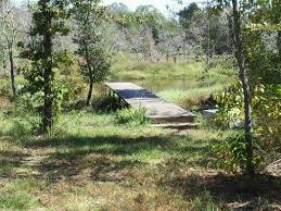 To see the latest deals on north canton cabins rentals, enter your travel details and hit search. Plum Lake Cabin Rentals