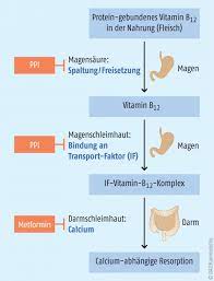 Wenn Ppi Zu Lange Eingenommen Werden