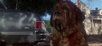 During one of his evening with kevin smith soirées, kevin revealed that beetlejuice goes hawaiian was one of the projects offered to him when hollywood thought he was. Kevin Smith Turned Down An Offer To Write The Cujo Remake