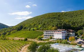 The sunny vineyards invite to relaxing walks. Arens Hotel 327m Nn Startseite Facebook