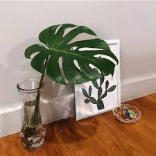 4,832 likes · 26 talking about this. à¸¡à¸­à¸™à¸ªà¹€à¸•à¸­à¸£ à¸² à¸• à¸™à¹„à¸¡ à¸Ÿà¸­à¸à¸­à¸²à¸à¸²à¸¨ à¹ƒà¸šà¹ƒà¸«à¸ à¸à¸§ à¸²à¸‡ 10 Monstera Deliciosa Shopee Thailand