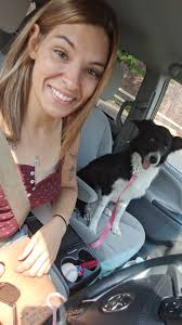 dogs' behavior during car rides and travel