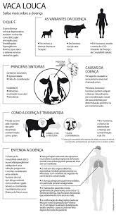 A doença mata o animal e pode contaminar seres humanos (pelo . Quatro Pessoas Sao Internadas Com Suspeita De Vaca Louca No Rj Jornal O Sao Goncalo On Line