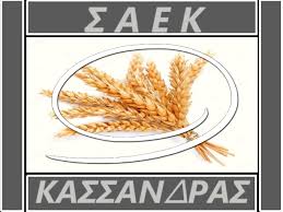 ΣΑΕΚ Κασσανδρας | Kassándra