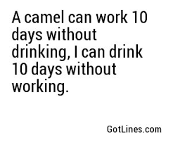 They have to love you anyway!), finding a few lines that strike the balance. A Camel Can Work 10 Days Without Drinking I Can