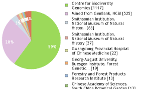 Image result for Psychotria djumaensis