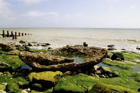 Eastbourne beach, east sussex © www.visiteastbourne.com. Eastbourne Beach Picture Of Eastbourne East Sussex Tripadvisor