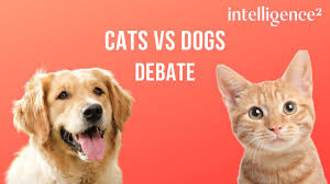 And cats can use their superior senses to stay more alert to what's going on in their environment. Debate Cats Vs Dogs With Will Self And John Gray Youtube