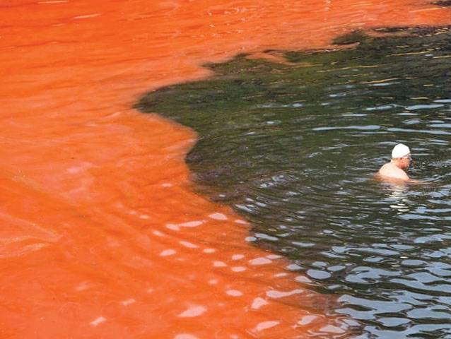 Sea turns blood red at Bondi Beach