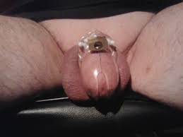 Peniskäfig - ich zeig mal meinen gefangenen - Erotikforum - Teufelchens  Sexforum