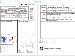 Check spelling or type a new query. Animal Plant Cells Gcse Classroom Revision Worksheet Teaching Resources