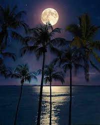 Summer Moon Beach Sunset Wallpaper Earth Pictures Moon Photography
