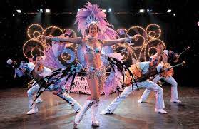 Entertainment Job In Ship