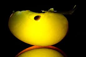 Ob von der holz terrasse, den stein fliesen, dem gartenweg, der fassade, dem dach. Grunspan Ist Giftig So Konnen Sie Ihn Von Kupfer Patina Unterscheiden