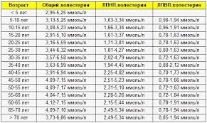 Normy Urovnya Holesterina V Krovi Dlya Muzhchin I Zhenshin Po Vozrastu V Zdorovom Tele Yandeks Dzen