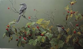 Robert Bateman Shrike Pair And Hawthorn Bird Art Art Wildlife Artists