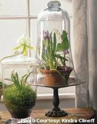 Top 10 Terrarium Tips Garden Design How To Make Terrariums Mini Garden Terrarium Diy