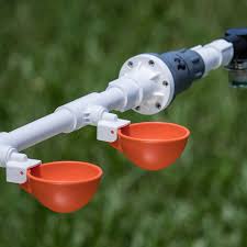 Maybe you would like to learn more about one of these? Automatic Chicken Waterer Kit Orange Backyard Flock 4 Cup Oasis Poultry Watering System For Household Water Lines Patio Lawn Garden Poultry Feeding Watering Supplies Malibukohsamui Com