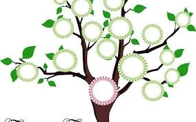 Free is good but there are drawbacks though when it comes to such a genealogy software program. 8 Best Family Tree Software For Mac Of 2021