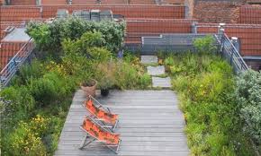 Toit Vegetal Pourquoi Craquer Toit Vert Toit Vegetal Decoration Jardin