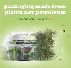 The company's brand profile include camp, cbd, meri + jayne, and others. Meet The Green Growth Machine 2020 10 06 Investing News Stockhouse