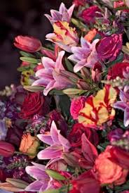 Indoor Gardening Expo Suburban Collection Showplace 46100 Grand River Ave Novi Mi May 31 Through June 3 Philadelphia Flower Show Flower Show Flowers