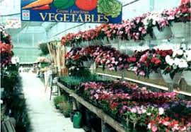 Get information, directions, products, services, phone numbers, and reviews on farmers daughter gift & garden center in shrewsbury, undefined discover more retail nurseries, lawn and garden supply stores companies in shrewsbury on manta.com. Farmers Daughter Where Customers Send Their Friends Gardening Ideas Events Faq S Calendar Of What To Do When Info On Plants And Products