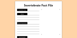 Many invertebrates grow slowly and each stage of shedding skin. Invertebrate Fact File Worksheet Worksheet Teacher Made