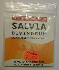 Salvia Divinorum Wikipedia Clinical studies suggest salvia divinorum to. salvia divinorum wikipedia