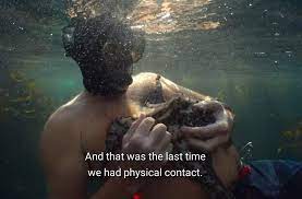 Last week, a giant leopard slug followed me home in a bag of takeout. My Octopus Teacher On Netflix Is Tentacle Erotica Funny Gallery