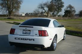 2003 ford mustang svt cobra svt cobra 2dr supercharged fastback in. Built 2003 Ford Mustang Svt Cobra Has 650 Horsepower At The Wheels