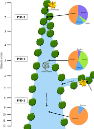Aspiring models compete for a chance to break into the business with a panel of judges critiquing their progress throughout the competition. The River Continuum Concept Lessons From The Past And Perspectives For The Future