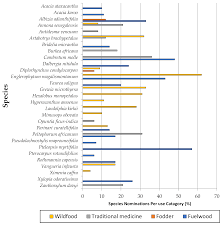 Image result for Grewia microthyrsa