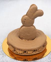 Macaron Lapin De Paques En 2020 Macaron Ganache Montee Chocolat Ganache Montee Chocolat Noir