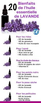 S Il Ne Devait N Y En Avoir Qu Une Alors Ce Serait Celle L Agrave L Huile Ess En 2020 Huile Essentielle Lavande Huiles Essentielles Melanges D Huiles Essentielles
