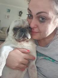 The Emotional Support of Pets