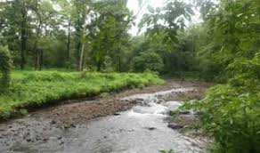 Hotels Near Khada Parsi Statue in ...