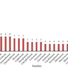 Image result for Cucumis aetheocarpus
