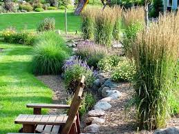 Download prairie grass images and photos. Landscaping Bunch Grass Along Foundation Bladeforums Com