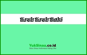 Buku mimpi 2d bergambar ( klik disini ). Angka Erek Erek Babi Menurut Buku Mimpi Kode Alam