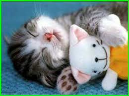 Anak, potret, sedih, miskin, orang orang. Paling Bagus 18 Gambar Lucu Anak Kecil Sedih 5000 Gambar Kucing Lucu Imut Dan Paling Menggemaskan Source Www Ekor9 Com Image Chaton Chaton Mignon Chaton