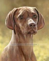 We did not find results for: Dog Portraits Gallery Oil Pet Portraits