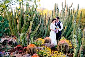 To wander 98 acres of magnificent wide open spaces. Sonoran Desert Museum Something Blue Wedding Photography Something Blue Wedding Photography